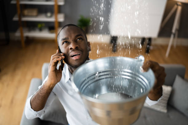 Best Sewage cleanup and water damage restoration  in Augusta, KY