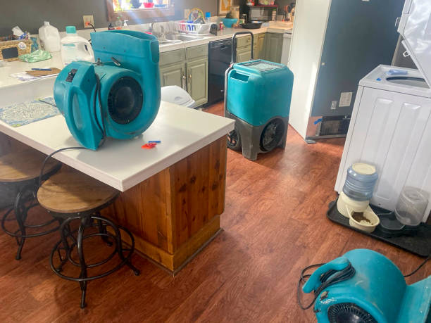 Best Basement water damage restoration  in Augusta, KY