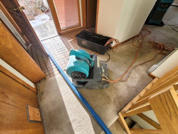 Best 24/7 water damage repair  in Augusta, KY