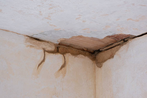 Best Local water damage restoration  in Augusta, KY