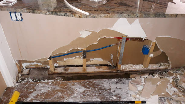 Best 24-hour water damage restoration  in Augusta, KY