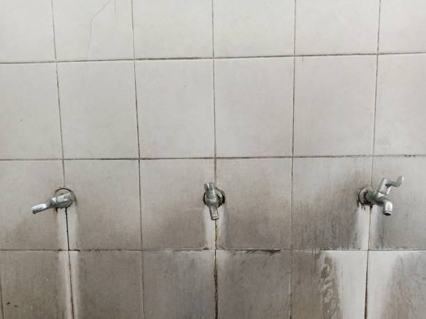 Best Ceiling water damage repair  in Augusta, KY