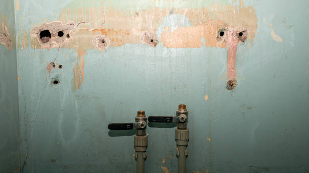  Augusta, KY Water damage restoration Pros