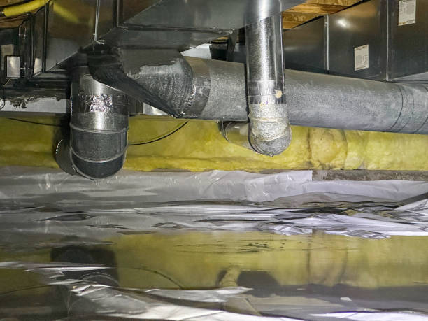 Best Emergency water damage restoration  in Augusta, KY