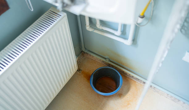 Best Fire Damage Restoration  in Augusta, KY