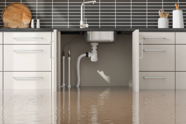 Best Water damage restoration process  in Augusta, KY