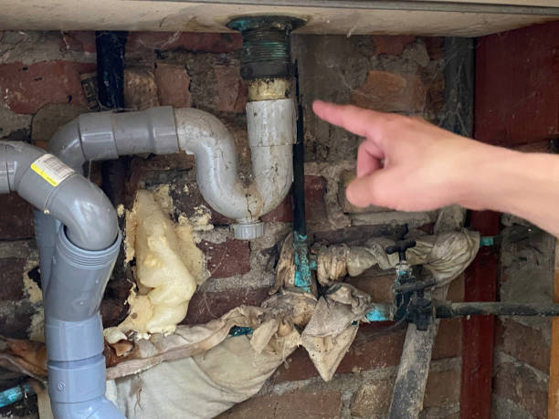 Best Flood damage cleanup  in Augusta, KY