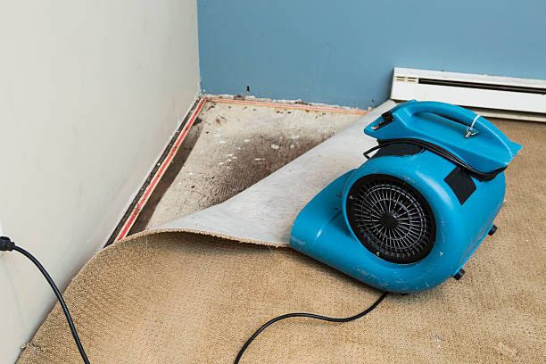 Best 24-hour water damage restoration  in Augusta, KY